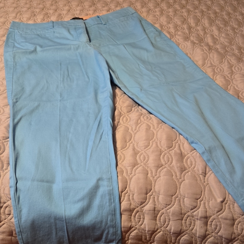 Talbots Sky Blue Cropped Pants